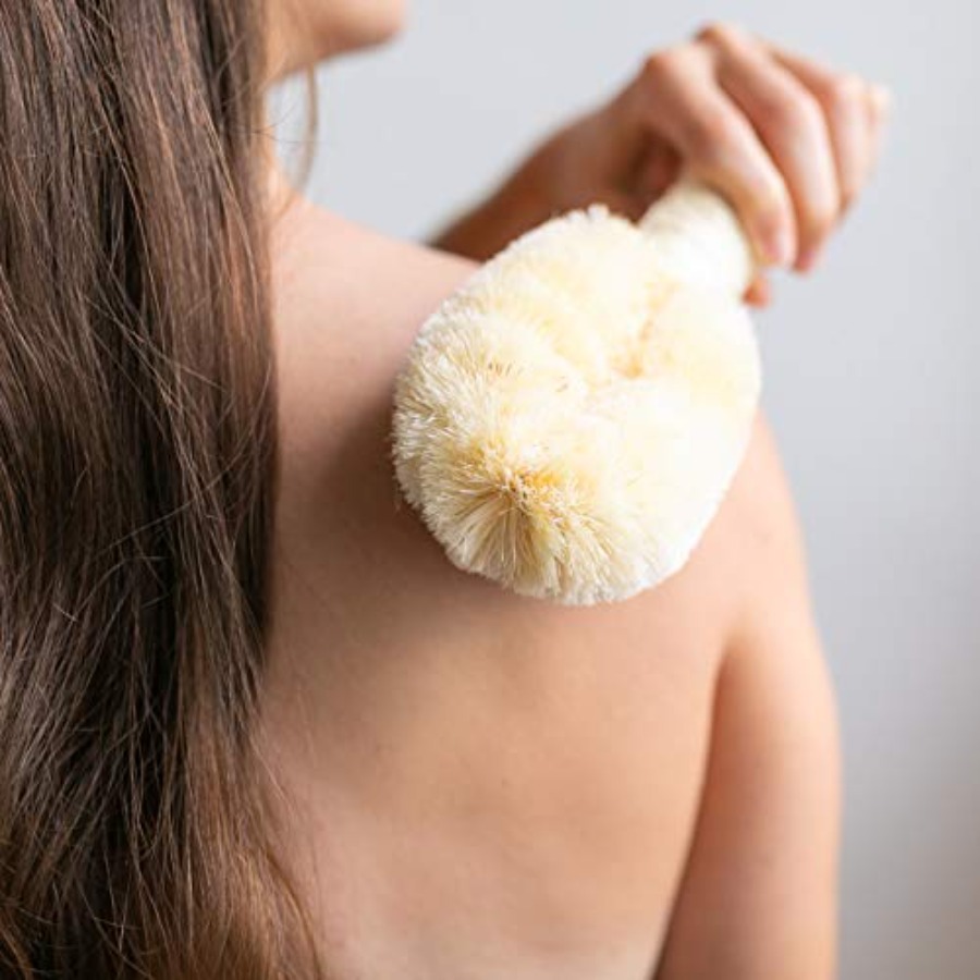 GranNaturals Bath and Shower D - Dry Brush Body review and price