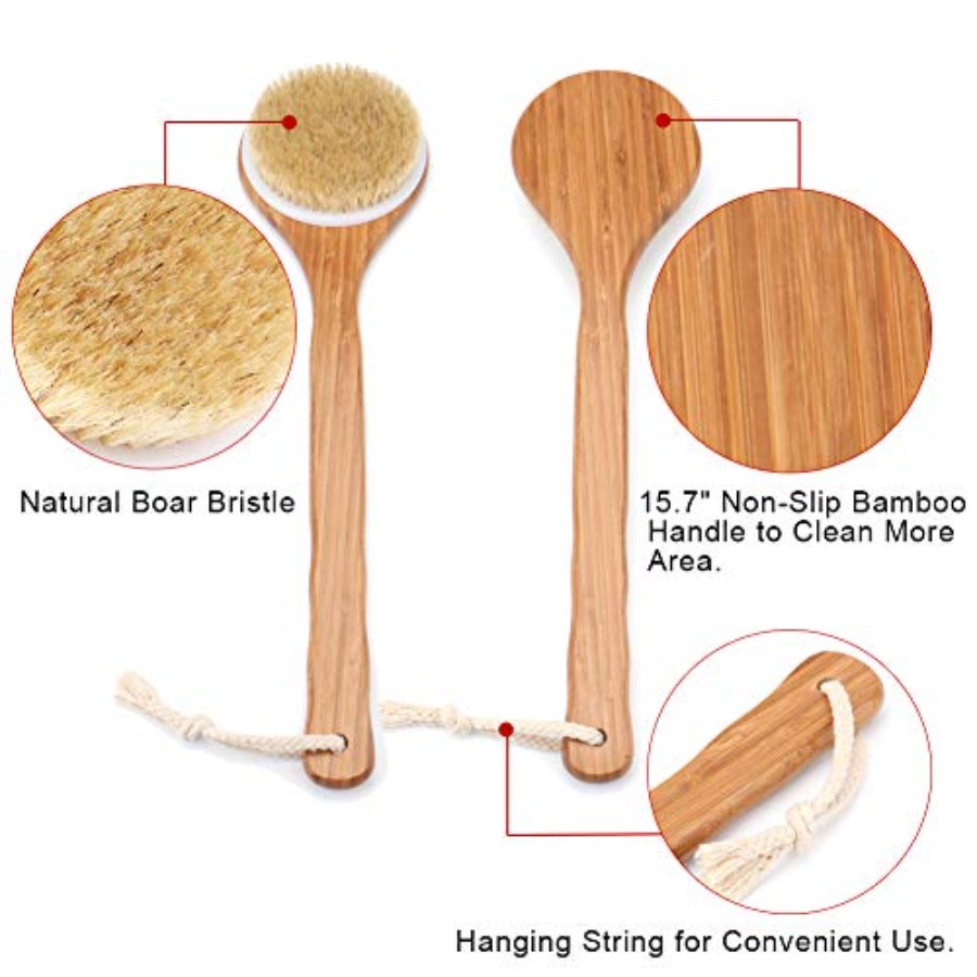 Shower Brush with Natural Bris - Dry Brush Body review and price